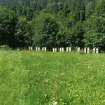 Bed & Breakfast Alpinchalet Zigjam Gaschurn