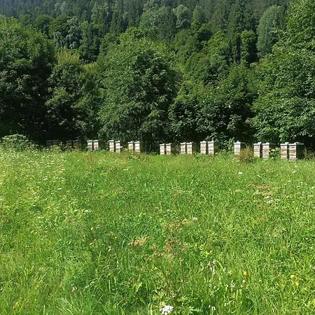 Frühstückspension Alpinchalet Zigjam Gaschurn