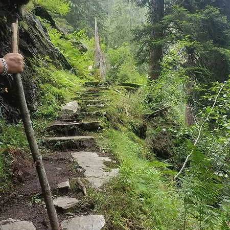 Alpinchalet Zigjam 3* Gaschurn