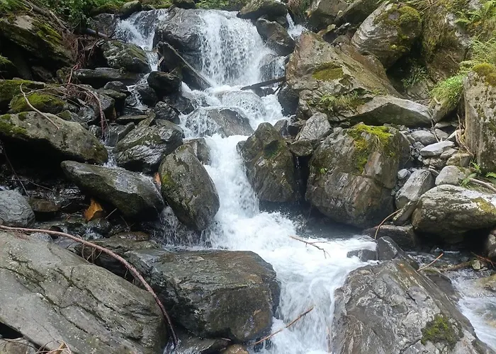 Frühstückspension Alpinchalet Zigjam 3*