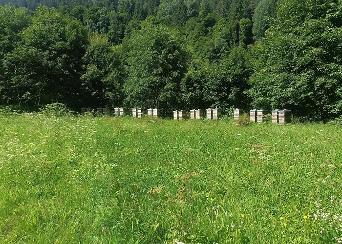 Frühstückspension Alpinchalet Zigjam Gaschurn