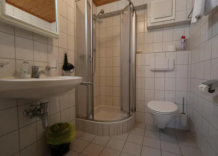 Frühstückspension Alpinchalet Zigjam 3*